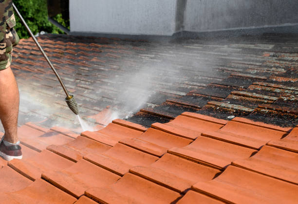 Best Sidewalk Pressure Washing  in Seabrook, SC